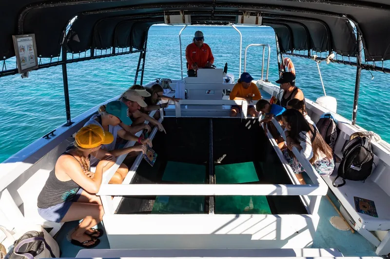 Glasbodenboot-Fahrt in Waikoloa
